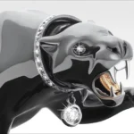 PANTHER - Presence and Beauty