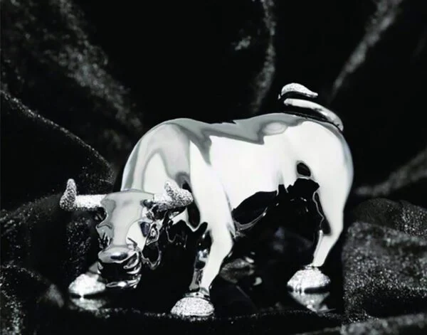 BULL - Strength and Determination